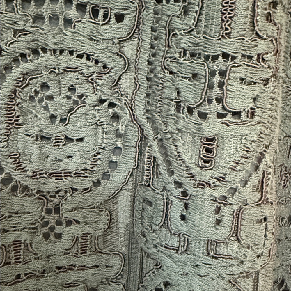 Ann Taylor Lace Pencil Skirt - Picture 6 of 7